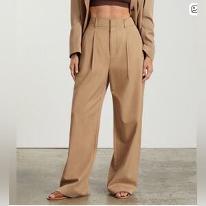 Everlane Way High Drape Pant